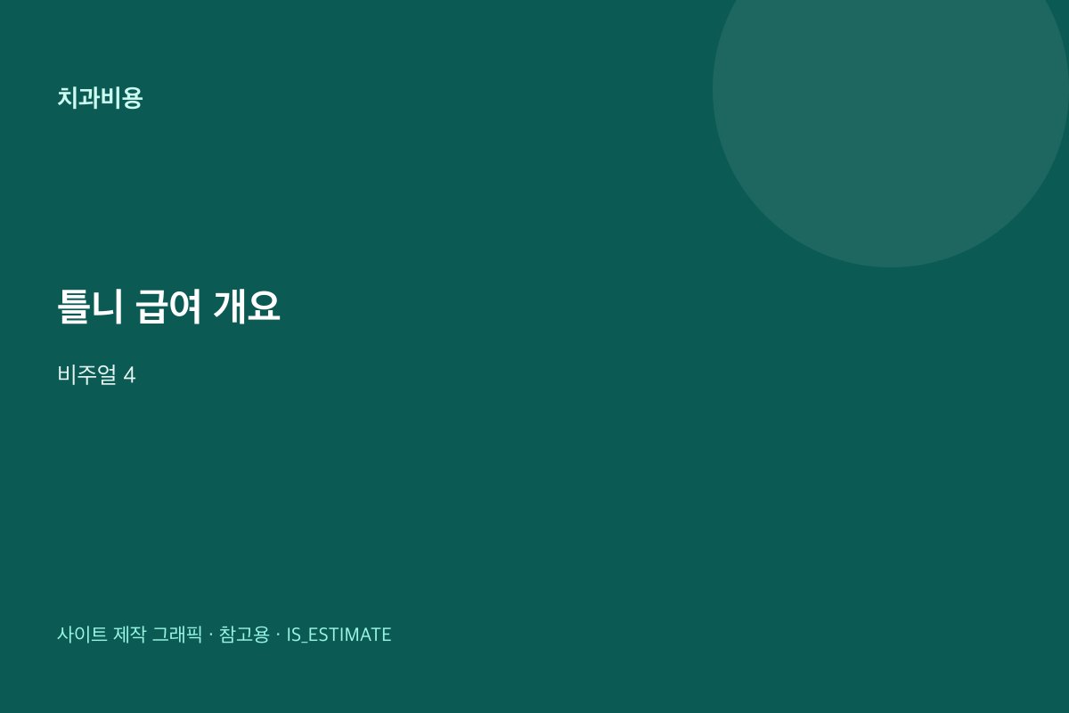 틀니 급여 대상 개요 비주얼 4